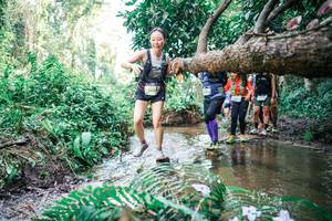 BIB: 
                            <button type="button" onclick="openModal(25477946)" class="btn btn-primary btn-sm float-right btn-popup" data-toggle="modal" data-target=".modal-high-quality">
                        <i class="fas fa-shopping-cart"></i> Add to Cart
                    </button>
                                            <button type="button" onclick="isThisMe(25477946, true)" class="btn btn-success btn-sm float-right btn-popup btn-isme hidden" data-toggle="tooltip" data-placement="bottom" title="นี่คือรูปของคุณใช่ไหม คลิกที่นี่เพื่อเอาเข้าอัลบั้ม">
                        <i class="fas fa-plus"></i> Add to album
                    </button>
                    <button type="button" onclick="isThisMe(25477946, false)" class="btn btn-warning btn-sm float-right btn-popup btn-isnotme hidden">
                        <i class="fas fa-ban"></i> Remove from album
                    </button>